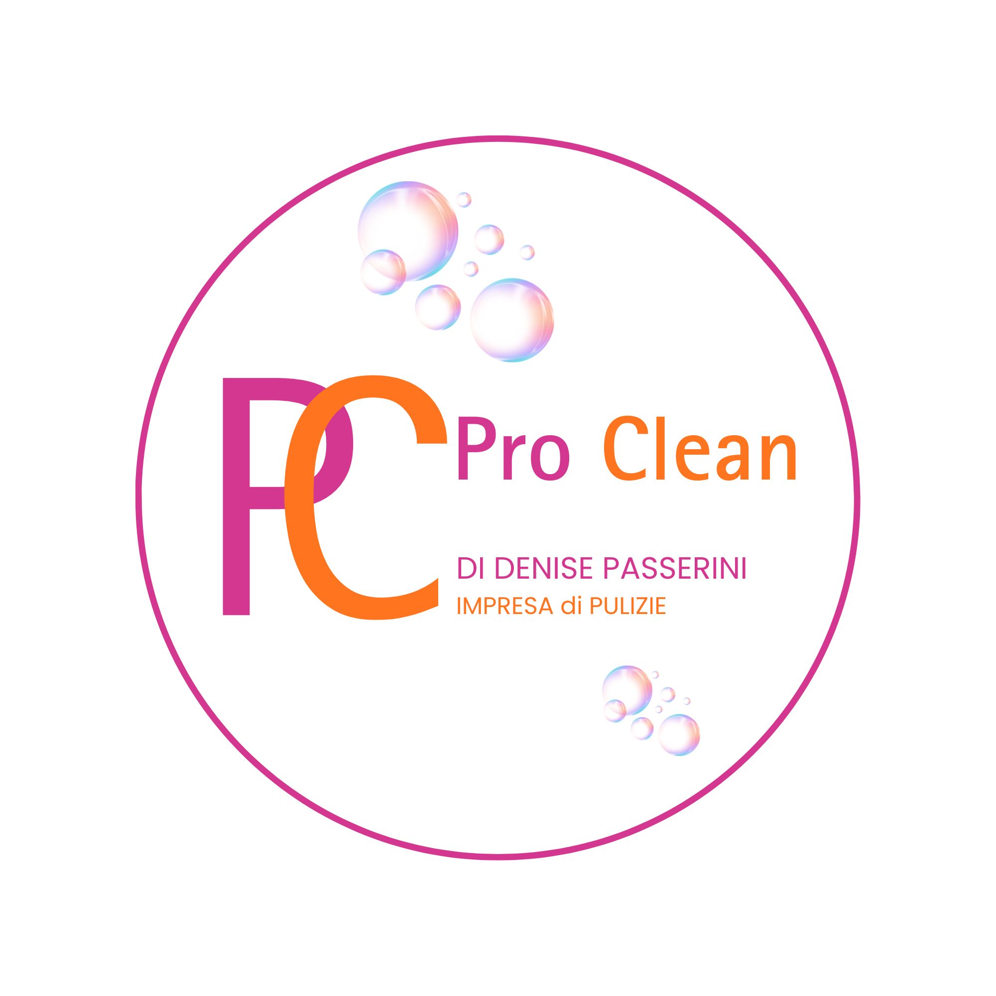 Pro Clean Logo